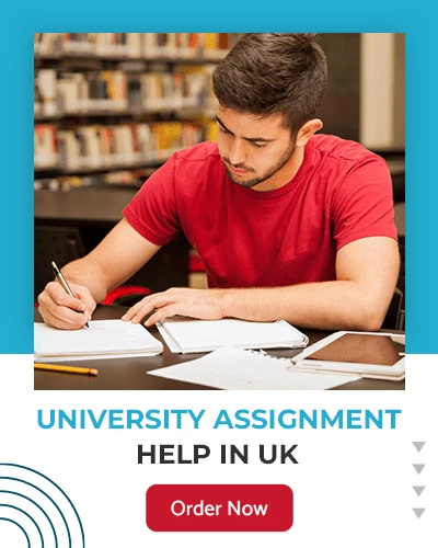 University Assignment Help In The UK